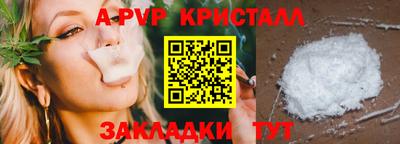 стаф Шелехов