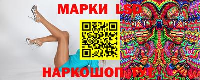 стаф Шелехов
