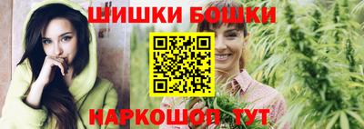 стаф Шелехов