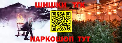 стаф Шелехов