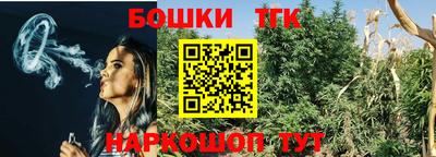 стаф Шелехов