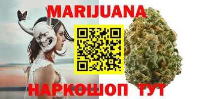 стаф Шелехов