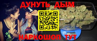 стаф Шелехов