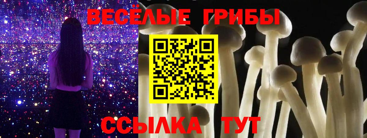 Муравленко  Псилоцибиновые грибы Cubensis  Галлюциногенные грибы Magic Shrooms  Вход с VPN 